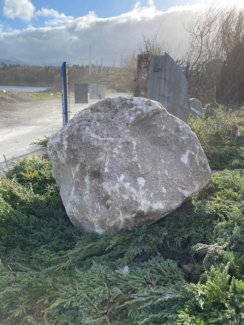 Welsh quartz granite boulder placed on shrubbery 